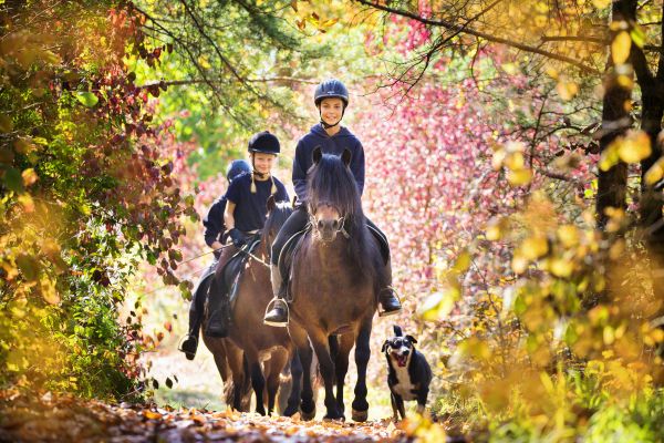 Kinder auf Ponies beim Ausritt im Herbstwald