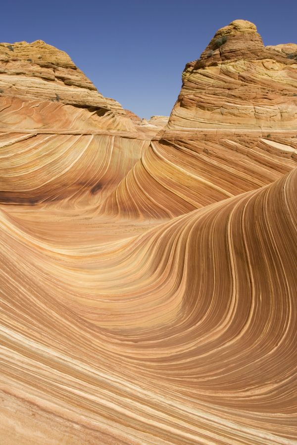 ie sogenannte "Welle" (The Wave) im Vermilion Cliffs Monument besteht aus roten und gelben Gesteinsschichten. Paria Canyon-Vermilion Cliffs Wilderness, Vermilion Cliffs National Monument, Arizona